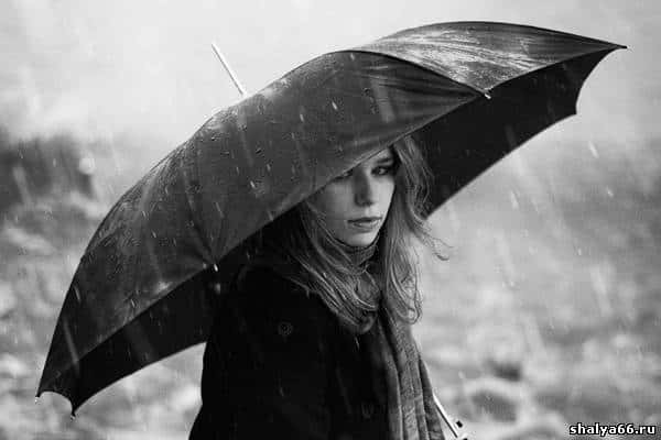 Шалю накрыли дожди