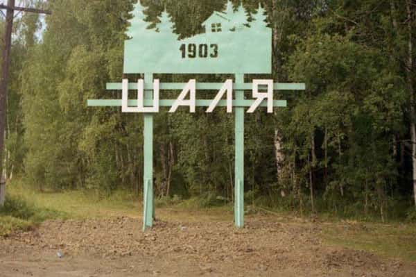 Нынче Шаля — юбиляр!