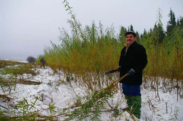 Шалинских умельцев «из народа» поддержат экономически и помогут им продвинуть свою продукцию