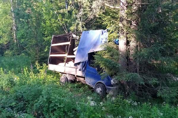 Под Шалей водитель Газели уснул за рулем и въехал в дерево