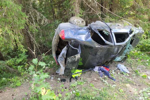 Под Шалей пьяная девушка въехала в дерево. Пассажиры в больнице
