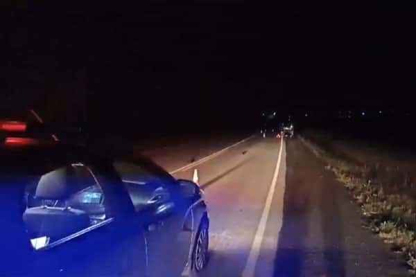 Под Шалей в ДТП погиб пешеход