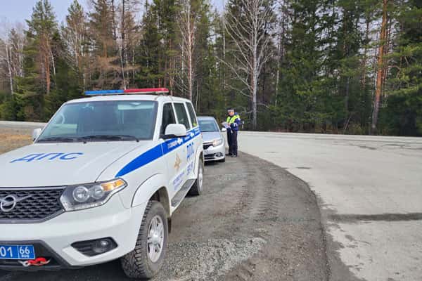 В выходные Госавтоинспекция Шали будет ловить пьяных водителей и нарушителей ПДД