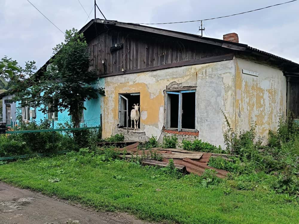 Жители Шали жалуются на обветшалые дома