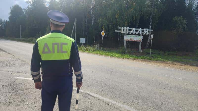 В Шале проведут мероприятие от ГАИ