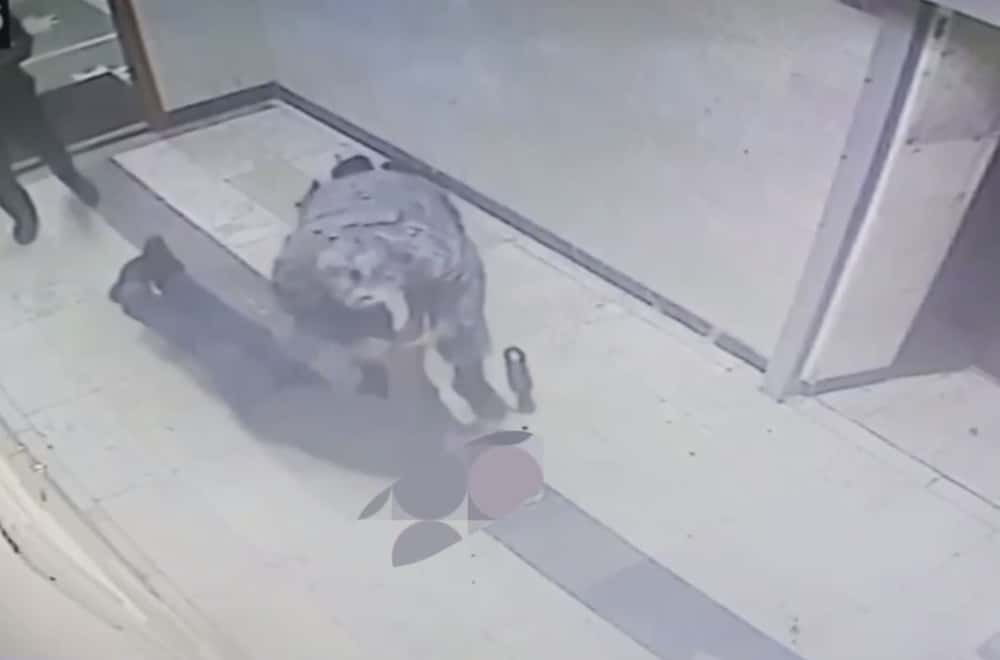 Судебные приставы Екатеринбурга спасли посетителя от тяжелого приступа прямо в зале суда