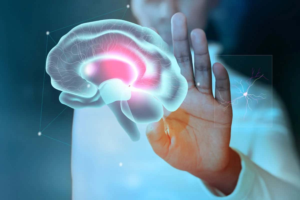 Хотите знать, почему нам всё интересно? Исследователи заглянули в голову и нашли ответ