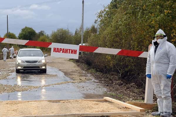 В Шамарах снят карантин по бешенству