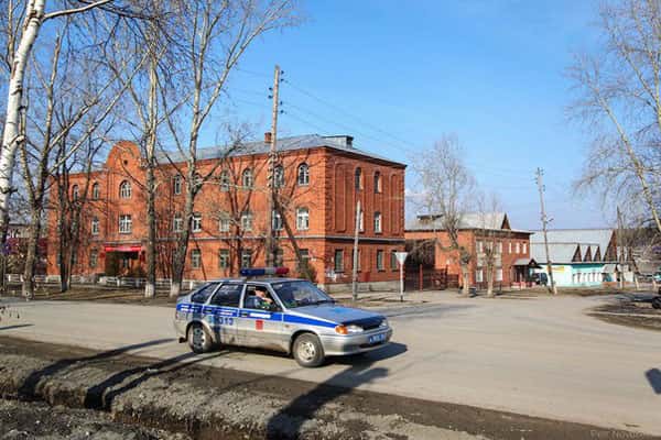 В Староуткинске козы поцарапали машину, в Шамарах — опекун избил маленькую девочку