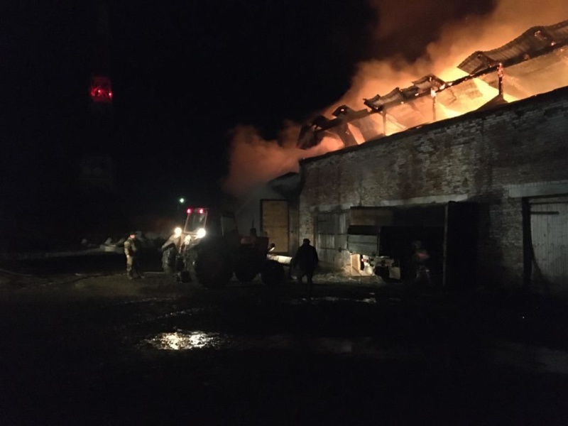 Накануне под Шалей сгорел гаражный комплекс Накануне под Шалей сгорел гаражный комплекс