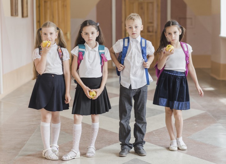 Шалинские школы приглашают учеников и родителей на День знаний | Школы Шалинского МО подготовились к 1 сентября