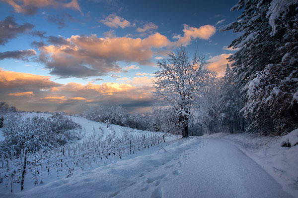 Потепление в Екатеринбурге будет недолгим: морозы вернутся уже на неделе | В Екатеринбург после краткого потепления снова придут сильные морозы