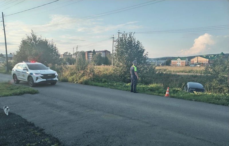 Трагедия в Шале: Нива покатилась с уклона и насмерть сбила свою владелицу | В Шале автомобиль без тормоза насмерть сбил хозяйку Трагедия в Шале: Нива покатилась с уклона и насмерть сбила свою владелицу | В Шале автомобиль без тормоза насмерть сбил хозяйку