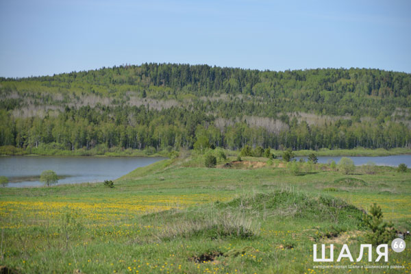 Утонул житель Шали