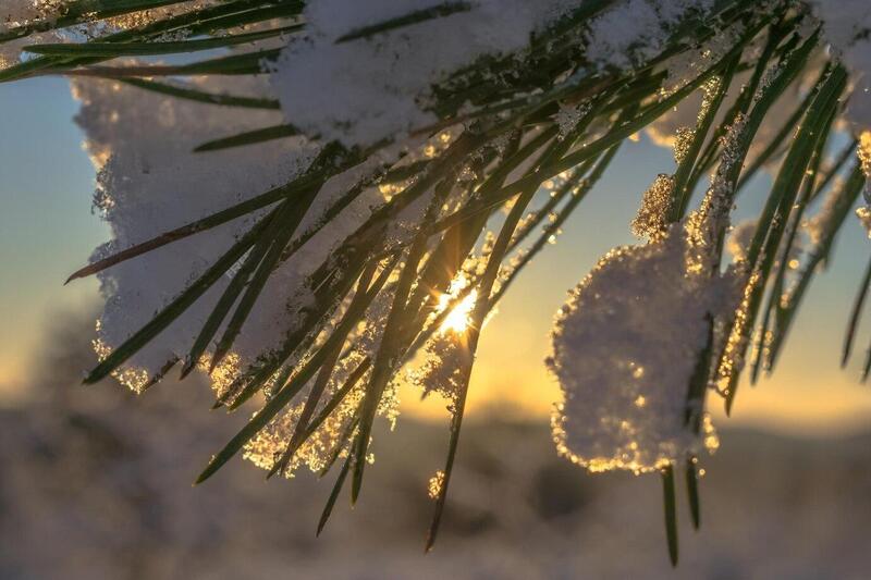 Снежный рекорд: на севере Свердловской области этой зимой осадков выпало почти вдвое больше нормы | Снега в Свердловской области этой зимой выпало на треть больше, чем в прошлом году