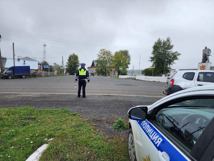 В Свердловской области началась спецоперация ГИБДД: пешеходам и водителям грозят штрафы | В Шале пройдет рейд от ГАИ